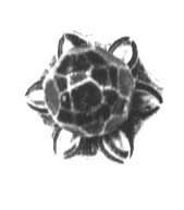 Cabinet Knob